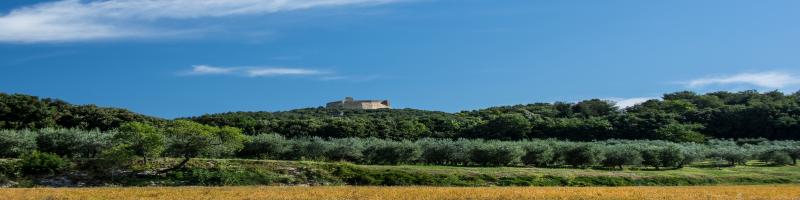 Rocca Silana